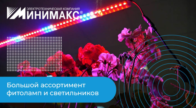 Какую фитолампу купить: правила выбора подсветки для растений Какую фитолампу купить: правила выбора подсветки для растений