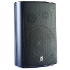 Громкоговоритель настенный MS-80TB ROXTON