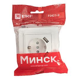 Розетка одинарная с 2 USB Минск скрытой установки с заземлением 16А+2,1А+2,1А со шторками в сборе белый ERR16-028-100-2 USB EKF