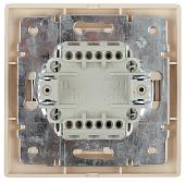 Выключатель двухклавишный скрытой установки 1-104-04 10А-250В IP20I ntro шампань Б0030043 ЭРА
