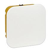 Коробка установочная для полых стен 100X100X50 DIY IMT351611