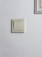 Изображение товара Выключатель 1-клавишный с индикацией IEK 10А бежевый ВС10-1-1-БрКр