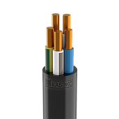 Кабель ВВГнг(A)-LS 5х2,5 ок(N,PE)-0,66 Кабэкс ТГ000004483 (10м)