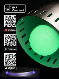 Умная лампа EKF Connect 8W WIFI RGBW E27