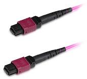 Hyperline FHD-MC3-504-MPOF12/PS-MPOF12/PS-A-3M-LSZH-MG Патч-корд волоконно-оптический MPO (мама)-MPO (мама), тип A, 12 волокон, 50/125 (OM4), 40/100G, LSZH, 3 м