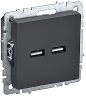 Розетка USB BRITE A+A 3,1А РЮ10-1-БрГ графит BR-U21-D31-K53 IEK