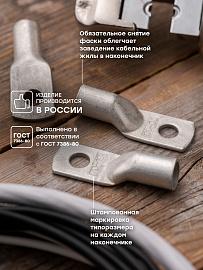 Наконечник медный луженый ТМЛ 70-10-13 PROxima tml-70-10-13-g EKF