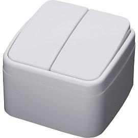 Выключатель двухклавишный BASIC открытой установки 10А 250В  белый PSW10-42-20 39032 STEKKER