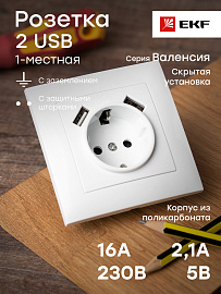 Розетка одинарная с 2 USB Валенсия скрытой установки с заземлением 16А+2,1А+2,1А со шторками в сборе белый EWR16-028-10-2 USB EKF PROxima