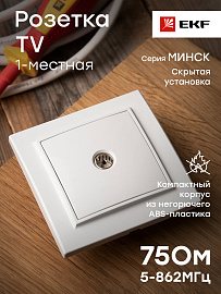 Розетка TV телевизионная Минск скрытой установки 75Ом 5-862МГц в сборе белый ERA00-027-10 EKF