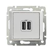 Розетка USB Valena скрытой установки для зарядки двойная белый 770470 Legrand
