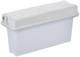 Светильник аварийный ССА1010 1ч универсальный IP65 LSSA0-1010-1-65-K01 IEK