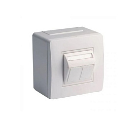 Коробка в сборе с 2 розетками In-Liner Classic RJ45 категории 5е (телефон/компьютер) пластик белый IP40 10656 DKC