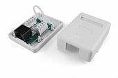 Hyperline SB1-1-8P8C-C5e-WH Розетка компьютерная RJ-45(8P8C), категория 5e, один., внеш, Dual IDC