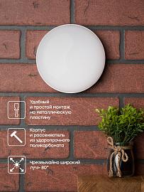 Светильник светодиодный ЖКХ круг ДПО-2001 8Вт 4000K IP65 BKL-2001-R-8-4000 EKF PROxima