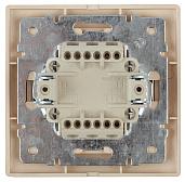 Выключатель с подсветкой, 10А-250В, IP20, скрытой установки 1-102-04 Intro Plano шампань (10/200/2400) Б0030035 ЭРА