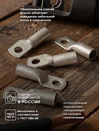 Наконечник медный луженый ТМЛ 95-12-15  tml-95-12-15-g EKF PROxima