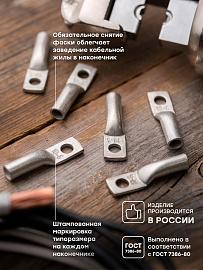 Наконечник медный луженый  ТМЛ 10-6-5  tml-10-6-5-g EKF PROxima