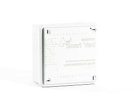 Контроллер линии освещения LIGHTKEEPER SY-2D RF Бастион