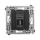 Розетка USB 2.0 Avanti скрытой установки тип А-А черный матовый 4412403 DKC