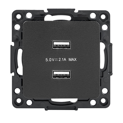 Изображение товара Розетка 2 USB Стокгольм скрытой установки черный EKF EZR16-028-10-2USB