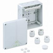 Коробка распределительная открытой установки 140x140x79мм Abox 100 IP65 с клеммником 5*10 (810-410) Spelsberg