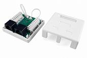 Hyperline SB1-2-8P8C-C5e-WH Розетка компьютерная RJ-45(8P8C), категория 5e, двойная, внешняя, Dual