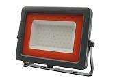 Прожектор светодиодный PFL- S2- SMD- 50Вт IP65 матовое стекло .2853301C Jazzway