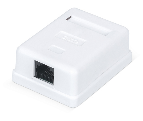 Изображение товара Розетка компьютерная RJ-45 категория 5e неэкранированная одинарная внешняя Dual IDC белый WRline WR-WS-8P8C-C5E-1
