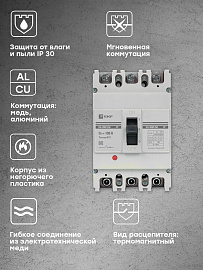 Выключатель автоматический 100А 3П трехполюсный ВА-99М 250/100А 3P 35кА mccb99-250-100m EKF