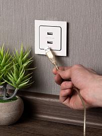 Розетка 2 USB Стокгольм скрытой установки 2,1А+2,1А механизм белый EYR16-028-10-2USB EKF PROxima