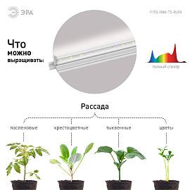 Светильник для растений, фитолампа светодиодная линейная FITO-18W-T5-Ra90 полного спектра 18 Вт Т5 ЭРА