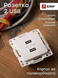 Розетка 2 USB Стокгольм скрытой установки 2,1А+2,1А механизм белый EYR16-028-10-2USB EKF PROxima