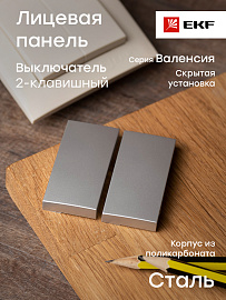 Лицевая панель для выключателя двухклавишного Валенсия 10А сталь ESV10-L-023-30 EKF PROxima
