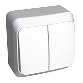 Изображение товара Выключатель двухклавишный ЭТЮД открытой установки с подсветкой (сх.5а) белый BA10-006B Systeme Electric