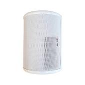 Громкоговоритель настенный 3/6 Вт AWS-06 Alerto