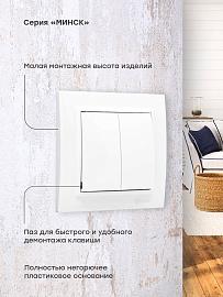 Выключатель двухклавишный Минск скрытой установки 10А белый ERV10-023-10 EKF