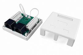 Hyperline SB1-2-8P8C-C5e-WH Розетка компьютерная RJ-45(8P8C), категория 5e, двойная, внешняя, Dual