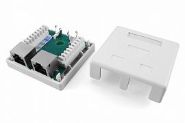 Розетка компьютерная RJ-45(8P8C), категория 5e, экранированная, двойная, внешняя, Dual IDC SB1-2-8P8C-C5e-SH-WH Hyperline