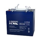 Аккумулятор EXPERT CHRL 12-55 600-12/55S