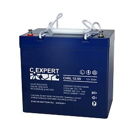 Аккумулятор EXPERT CHRL 12-55 600-12/55S