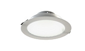 Светильник Radian 25 NEW/23/Д/4,0K/03/220AC IP40 203302300843400 LEDEL