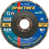 Круг лепестковый шлифовальный 115х22 мм Р 100 , серия Мастер ПРАКТИКА 775-693