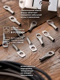Наконечник медный луженый   ТМЛ 2,5-6-2,6 EKF PROxima