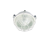Светильник светодиодный ДПП03-13-003 с LED лампой, с решеткой, 13Вт, IP65/ АСТЗ