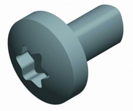 Винт самонарезающий TORX T30 (M6x12) NSYST30M6S SE