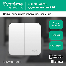 Выключатель двухклавишный BLANCA открытой установки 6А 250В (cх.5) с изолирующей пластиной в сборе белый BLNVA065011 Systeme Electric