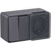Блок AtlasDesign Profi54 открытой установки выключатель двухклавишный 10А + розетка Schuko 2P+E с заземлением 16А Антрацит IP54 ATN544074 Systeme Electric