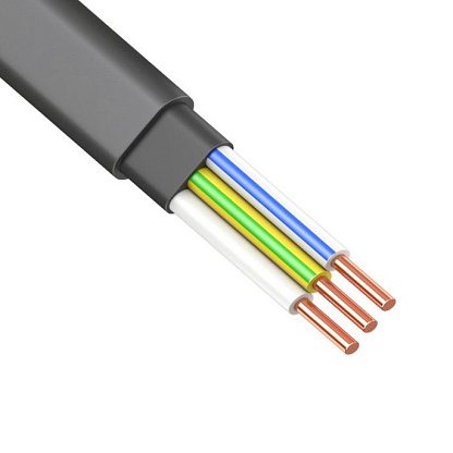 Изображение товара Кабель ВВГнг(A)-LS -П 3х 4 ок (N, PE)-0,66 Энергомир