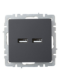 Розетка USB BRITE A+A 3,1А РЮ10-1-БрГ графит BR-U21-D31-K53 IEK